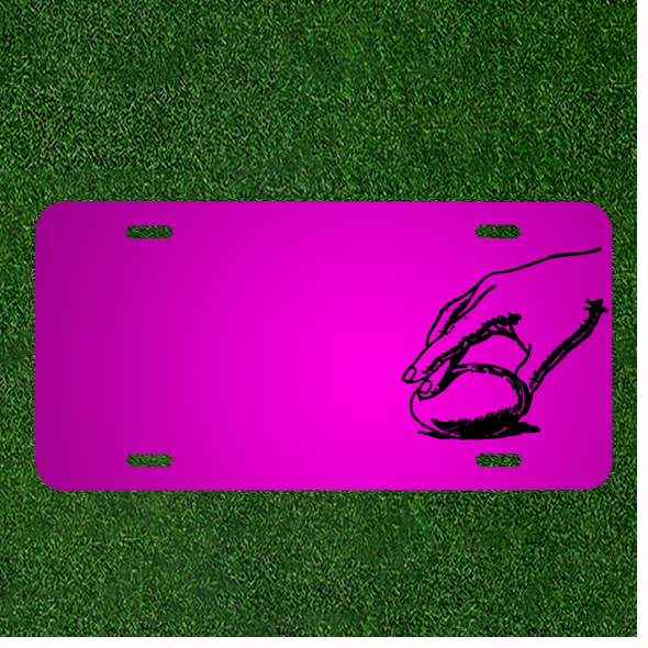 Custom Personalized Car License Plate with Hand-Painted White Bird and Names