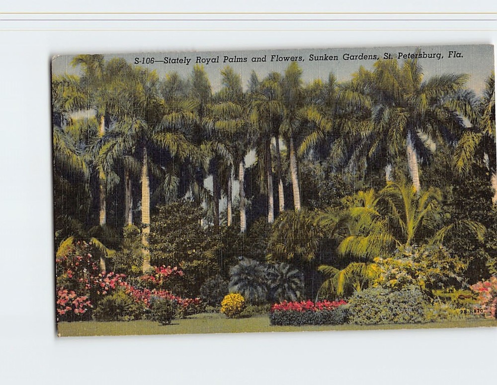 Postcard Stately Royal Palms & Flowers Sunken Gardens St. Petersburg Florida USA
