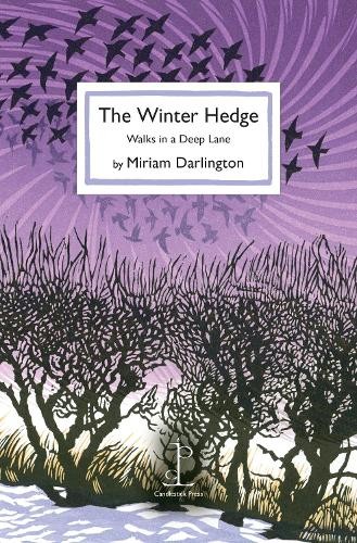 Miriam Darlington The Winter Hedge (Paperback)Another great item from Rarewaves USA | Free delivery!