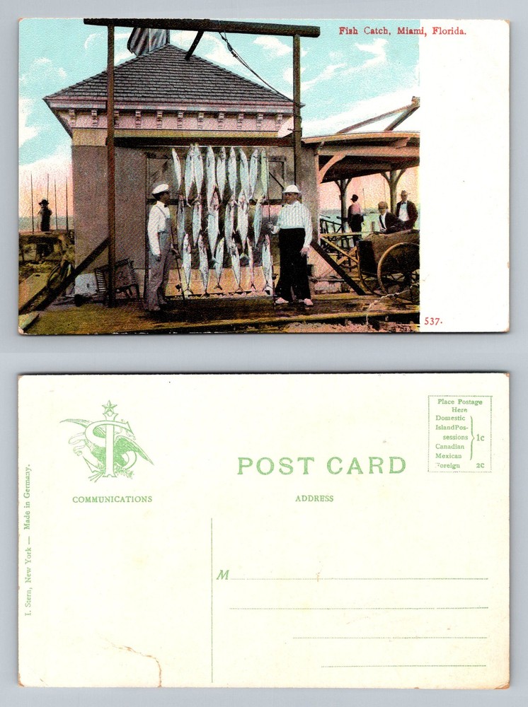 Miami, FL-Florida, Fish Catch Dockside Display Fishing Wharf Vintage Postcard