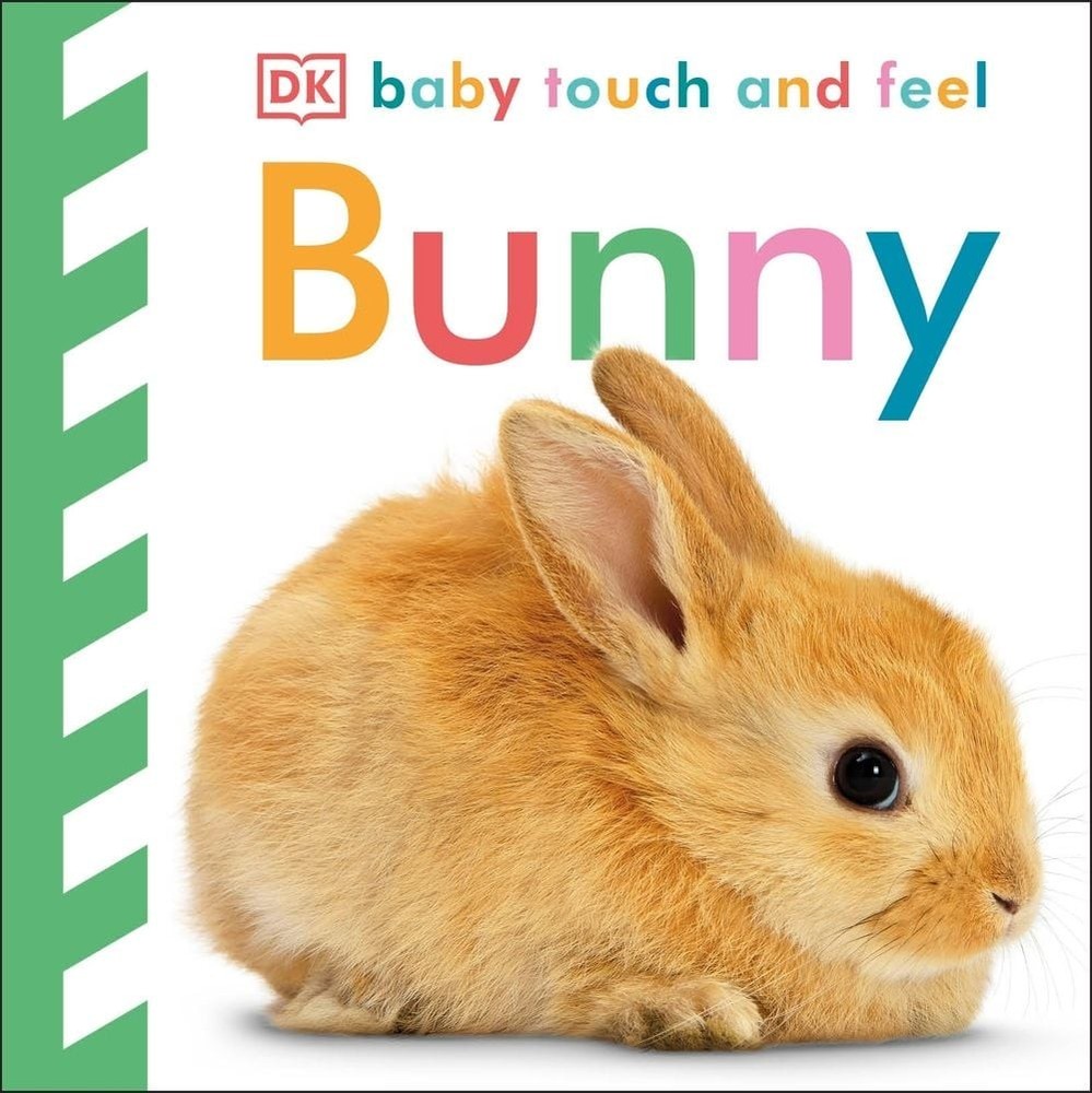 Baby Touch and Feel Bunny by DK Board Book Book