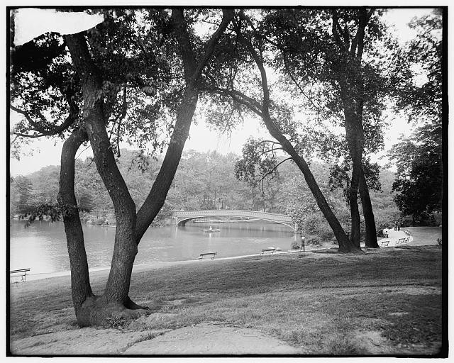 Photo:New York NY Central Park Lake 1900s Bridge Trees Scenic View