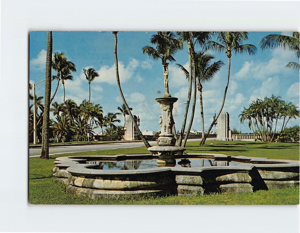 Postcard Royal Poinciana Way Palm Beach Florida USA