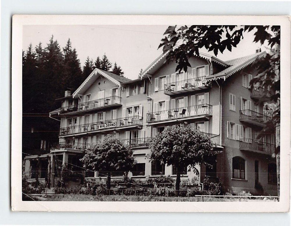 Postcard Grand Hotel Belvedere in Wengen Switzerland