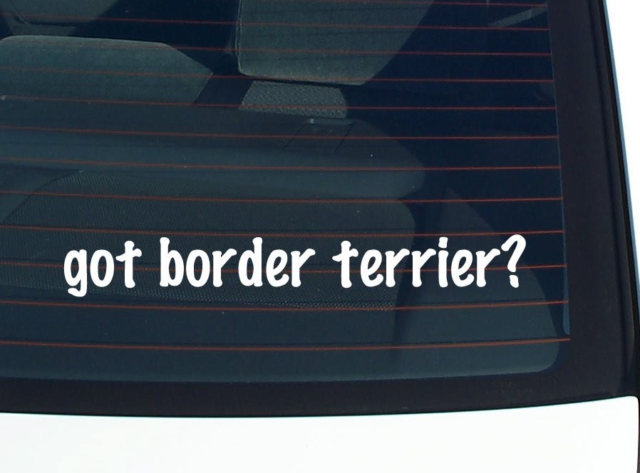 Got Border Terrier Car Decal Bumper Sticker Vinyl Funny Window Joke