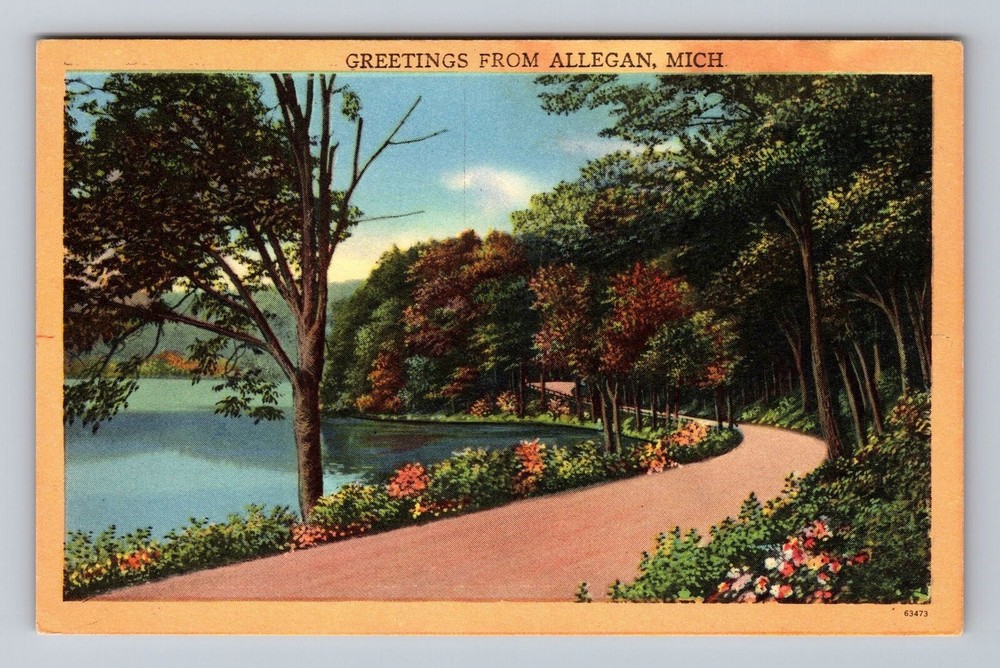 Michigan MI Allegan Scenic Greetings Vintage Postcard