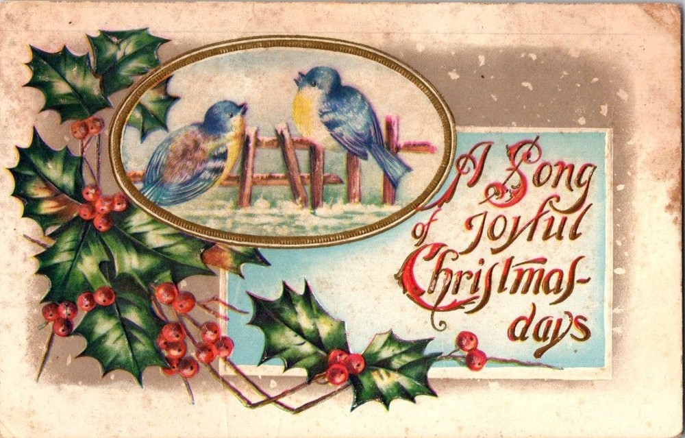 Vintage Christmas Postcard Birds on Fence Holly Berries Embossed Holiday