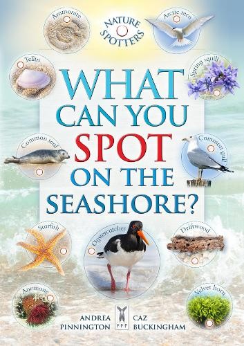 Ben Hoare Andrea Pinnington Caz Bucki What Can You Spot on the Seas (Paperback)Another great item from Rarewaves USA | Free delivery!