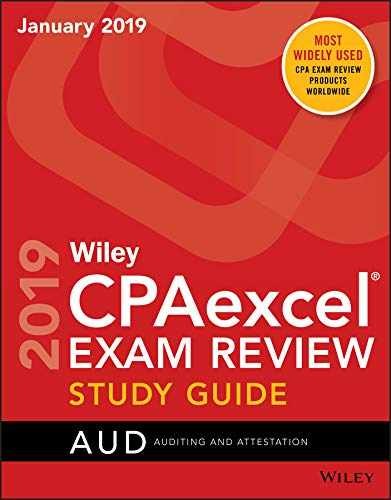 Wiley CPAexcel Exam Review 2019 Study Guide - Paperback, by Wiley - Very Good