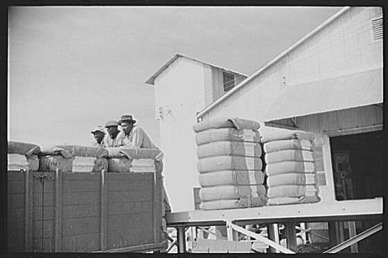 Hopson Planting Company,Clarksdale,Mississippi Delta,Mississippi,MS,1939,FSA,1