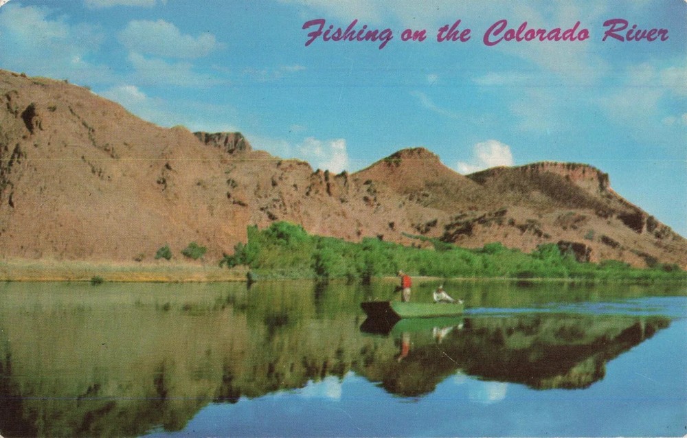 Trout Fishing on the Colorado River below Hoover Dam - Nevada NV - Postcard