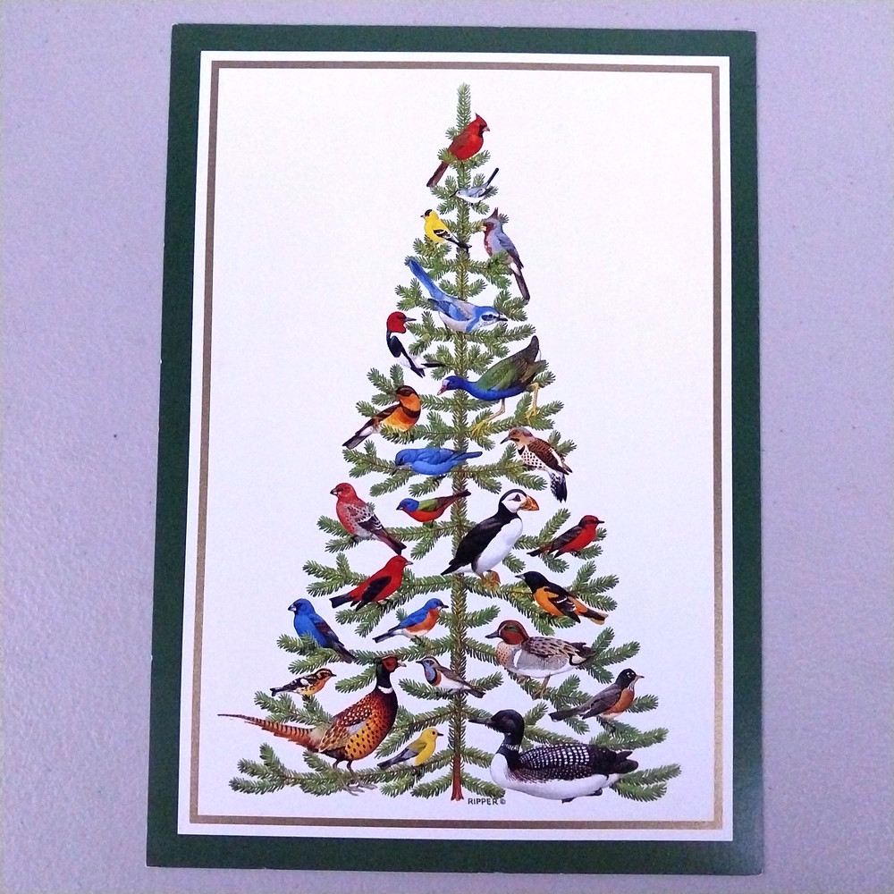 NGS Christmas Card Sample Advertisement - Birds of North America 2A56