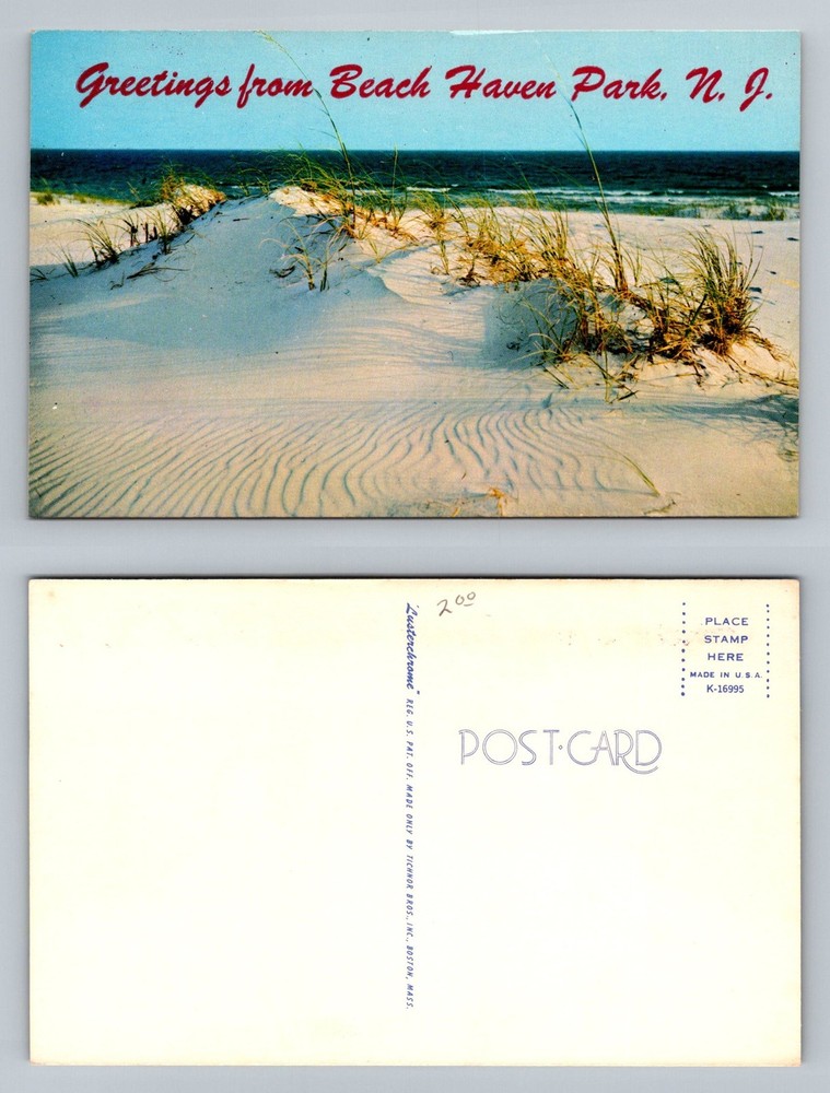 Beach Haven Park NJ-New Jersey, Coastal Dunes Sand and Sea View Vintage Postcard