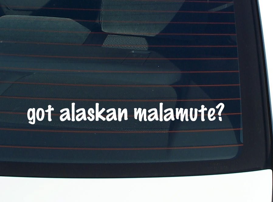 Alaskan Malamute Car Decal Funny Bumper Sticker Vinyl Window Joke