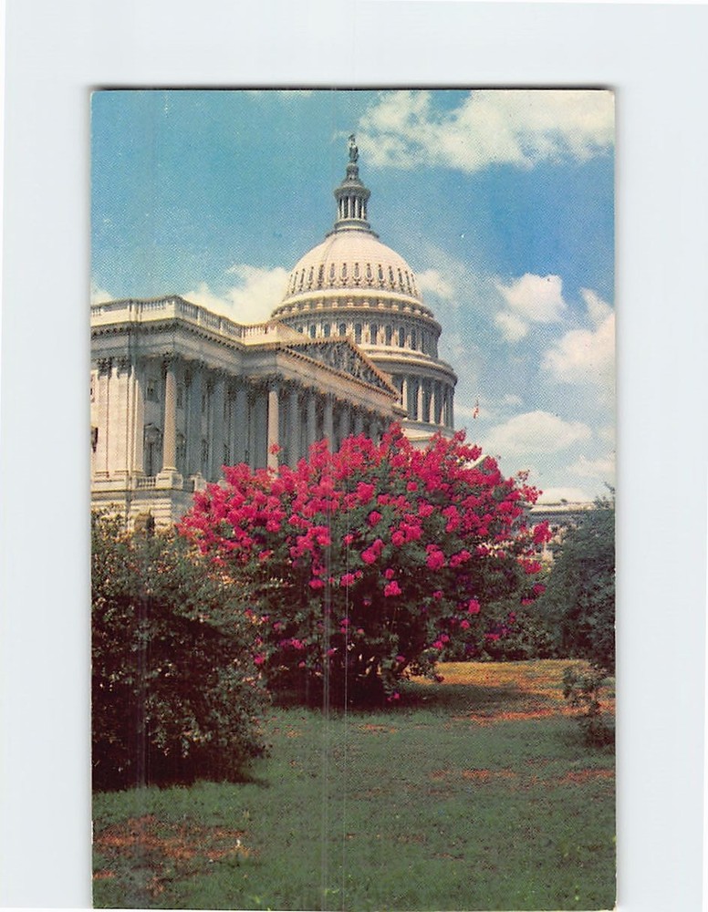 Postcard United States Capitol Washington DC