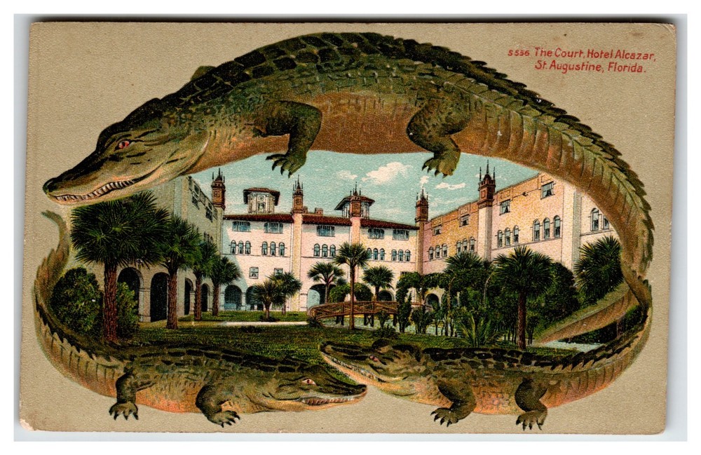 Alligator Border Postcard St Augustine Florida Hotel Alcazar The Court Gator