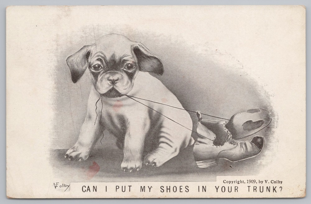 Animal~Puppy With Shoes~Can I Put My Shoes In Your Trunk B&W~Vintage Postcard