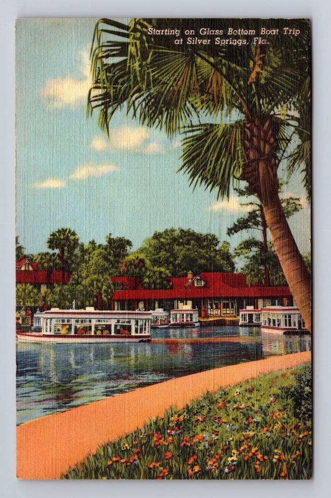 Silver Springs FL-Florida Starting on Glass Bottom Boat Trip Vintage Postcard PC