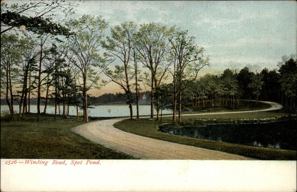 Winding Road Spot Pond Massachusetts ~ c1905 UDB vintage postcard