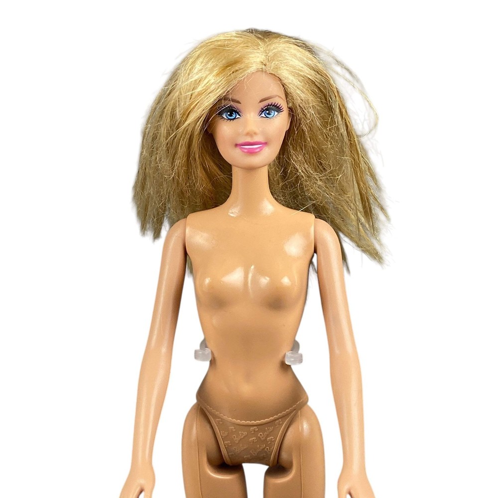 2015 Life in the Dreamhouse Snow Fun Barbie #BJN57 Doll