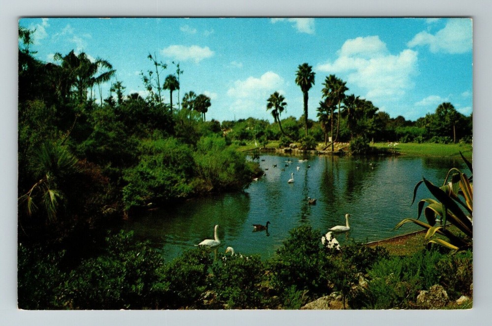 Tampa FL-Florida, The Lagoon At Busch Gardens, Scenic, Vintage Postcard