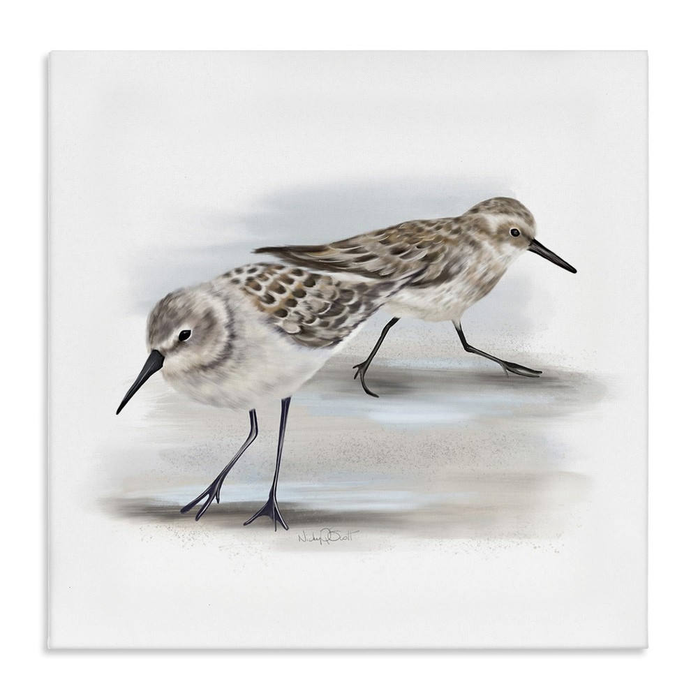 Sandpiper Pair on Sandy Beach Small Nautical Birds Canvas Wall Art, 17x17, Gray