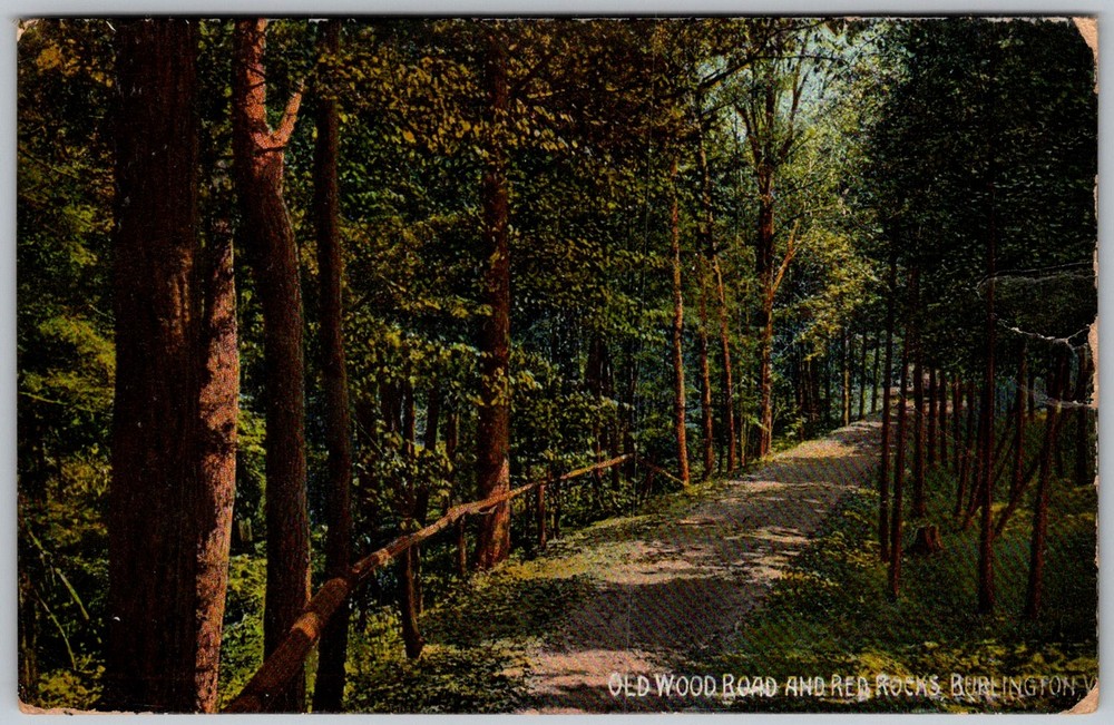 Antique Postcard Old Wood Road Red Burlington, VT 1910s