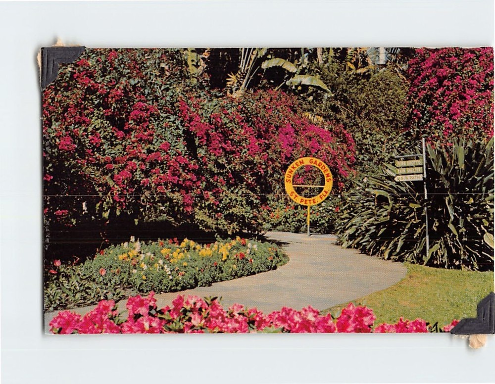 Postcard Scenic paths Sunken Gardens St. Petersburg Florida USA