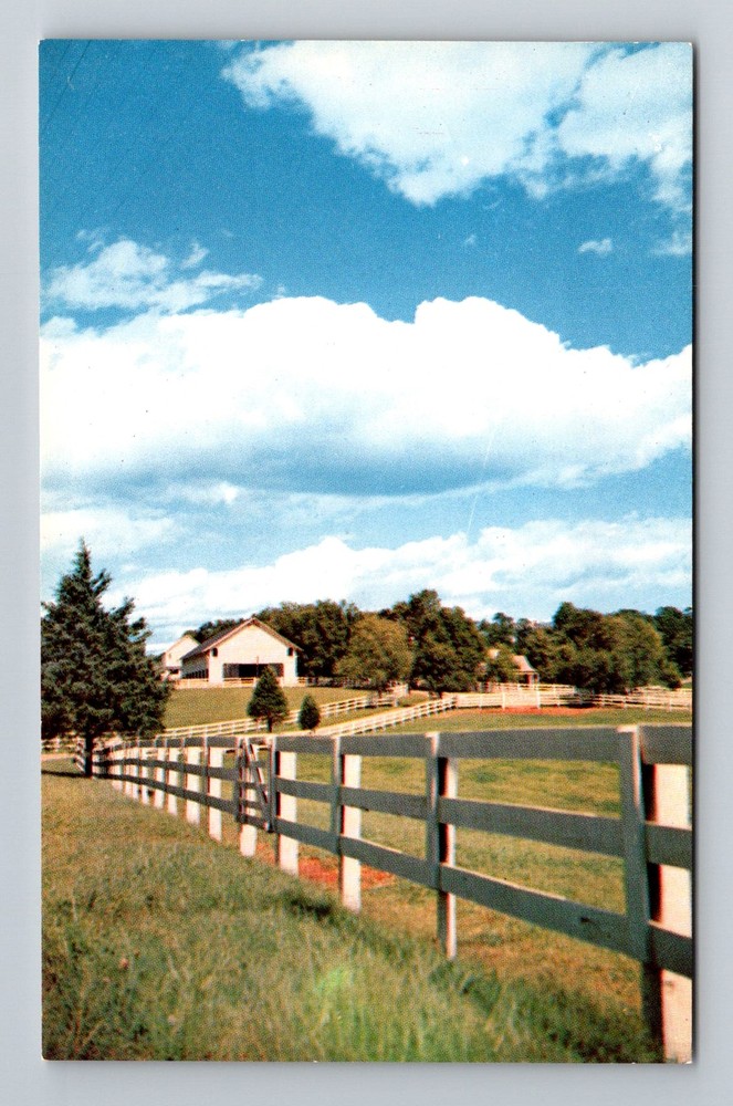 Front Royal, VA-Virginia, Horse Farm Fenced Pastures Blue Ridge Vintage Postcard