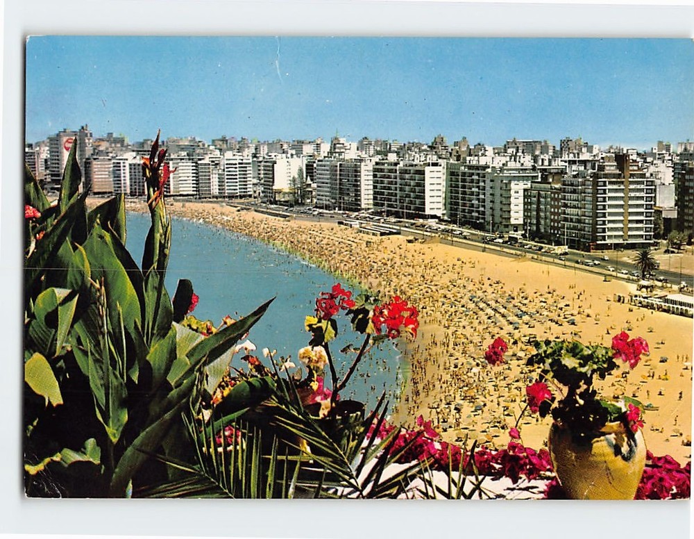 Postcard Playa Pocitos Montevideo Uruguay