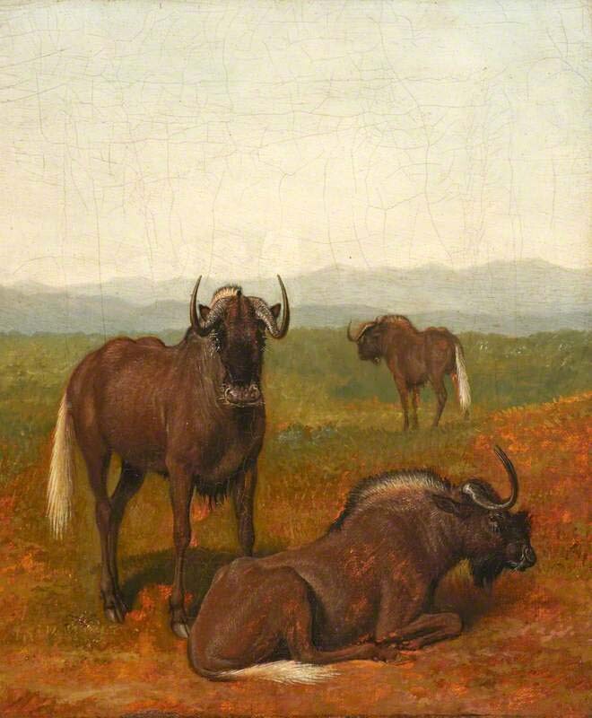 Oil painting wild animals cows in landscape Gnus-Jacques-Laurent-Agasse canvas