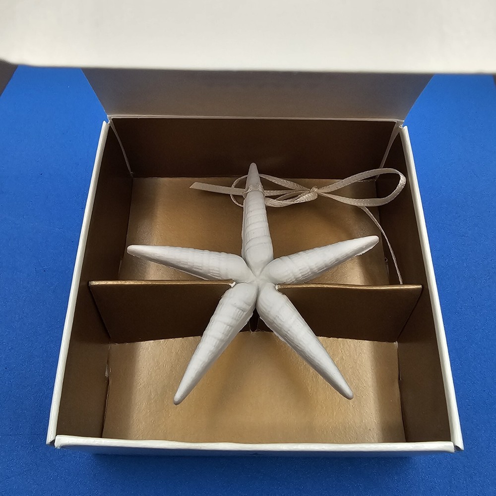 Margaret Furlong A Star In The Night White Bisque Porcelain Ornament w/Box Shell