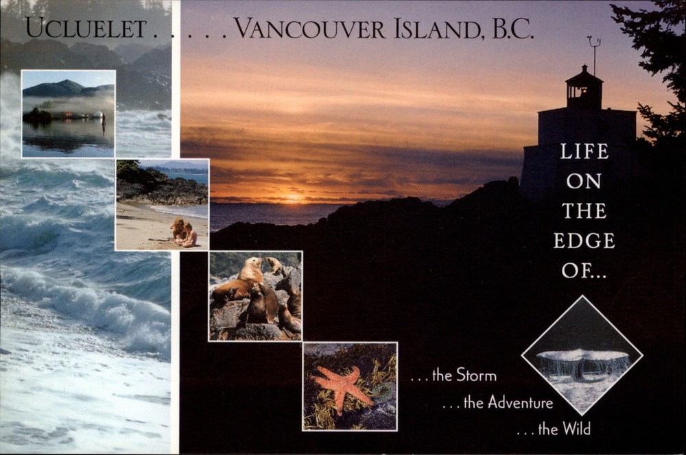 Canada British Columbia Vancouver Island seals light house multiview ~ postcard