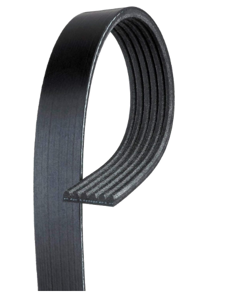 Automotive V-Ribbed Belt (Standard)