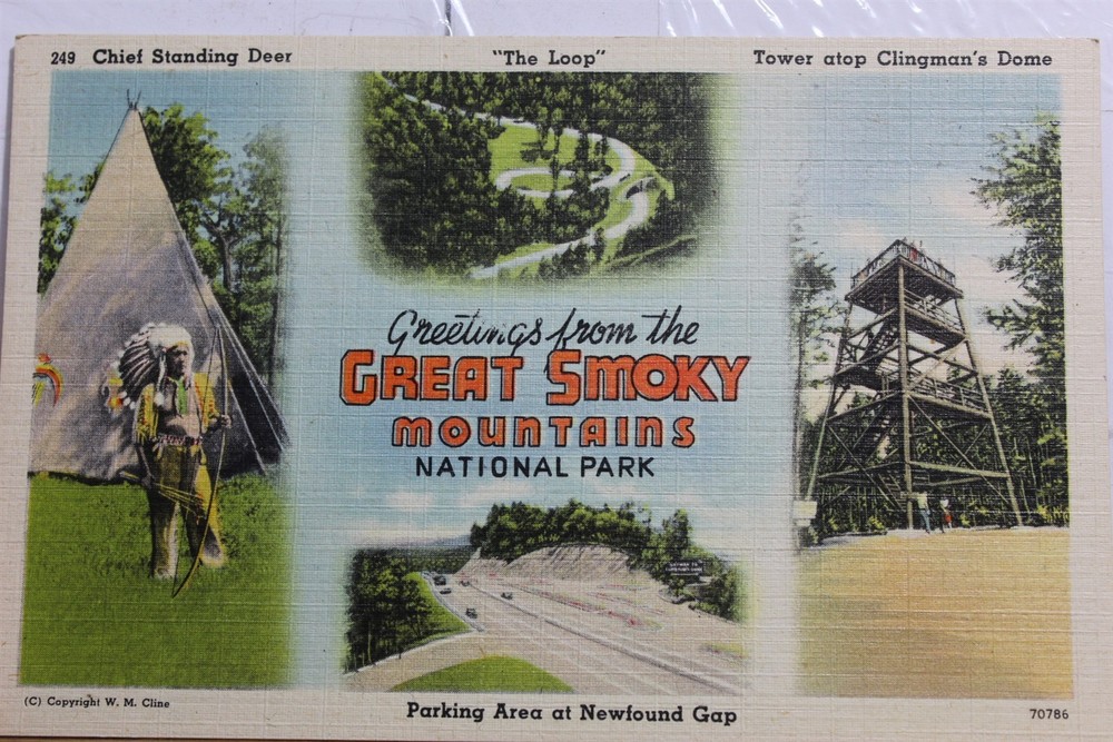 Great Smoky Mountains National Park Newfound Gap Parking Postcard Old Vintage PC