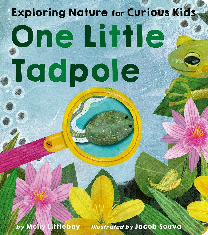 Molly Littleboy One Little Tadpole (Board Book) One LittleAnother great item from Rarewaves USA | Free delivery!