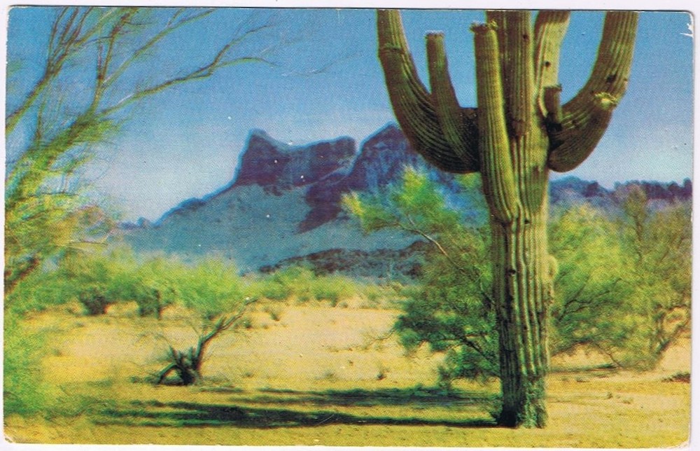 Postcard Picacho Peak Between Phoenix & Tucson Arizona
