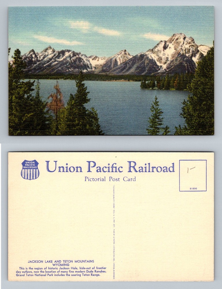 Jackson Lake, WY-Wyoming, Teton Range Pines Lakeshore View Vintage Postcard