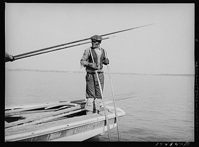 Photo:Wicomico River Maryland 1941 Oyster Tonger Oystering on Boat FSA