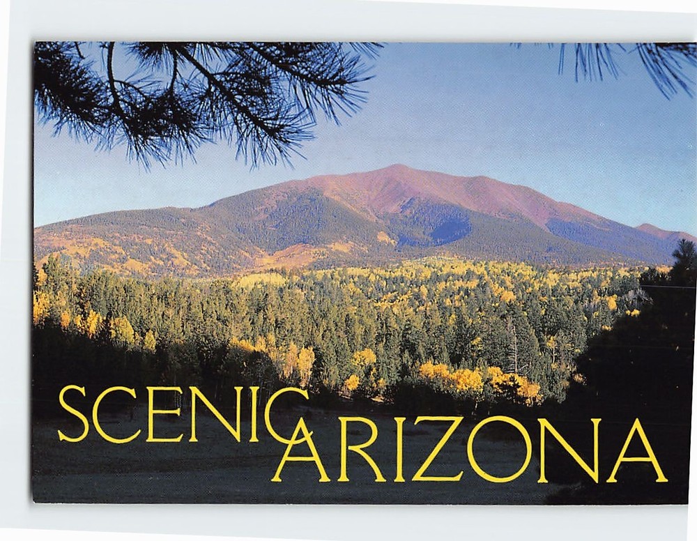 Postcard San Francisco Peaks Scenic Arizona USA