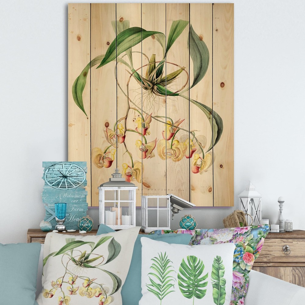 Designart 'Vintage Blossoming Flower I' Traditional Print on