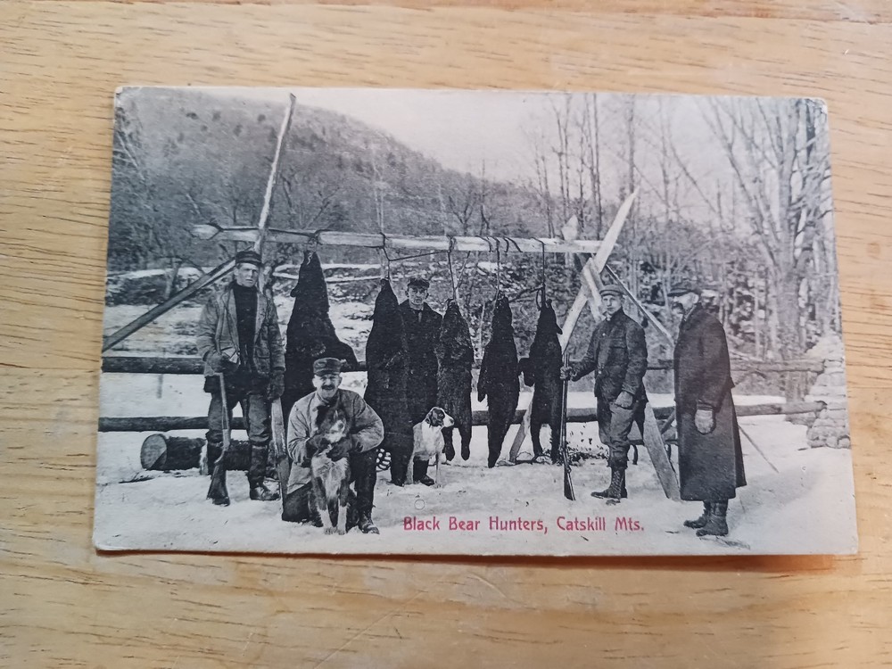 Vintage Postcard, Black Bear Hunters, Catskill Mountains, Postmarked 1911