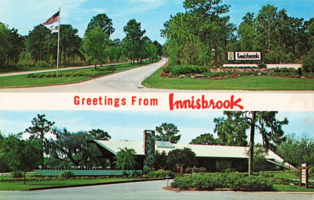 Greetings from Innisbrook Golf Course - Tarpon Springs Florida FL - Postcard