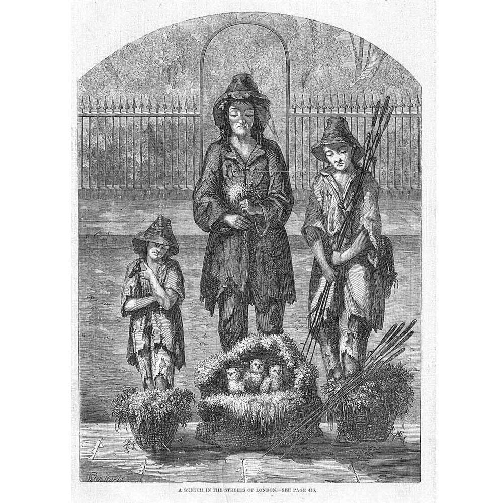 LONDON Street Arabs, Bird Nest Sellers - Antique Print 1858