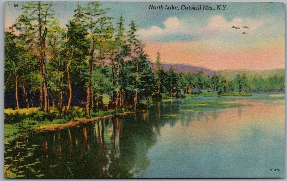 North Lake Catskill Mountains New York Postcard W377