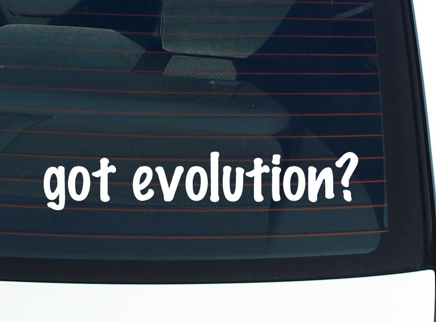 Evolution Car Decal Funny Bumper Sticker Vinyl Window Joke