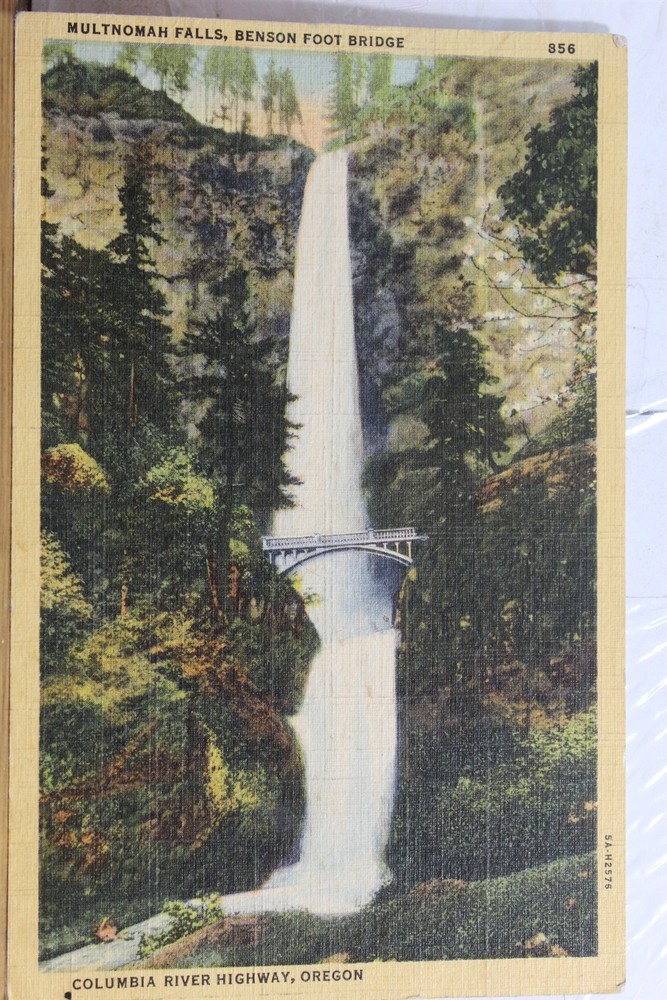 Oregon OR Columbia River Highway Benson Foot Bridge Multnomah Falls Postcard Old