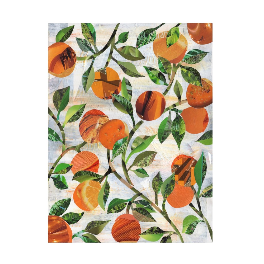 Canvas Wall Art - Artpoptart 'Oranges 2' Wall Art for Living Room, Bedroom, o...