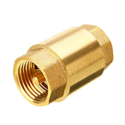 Spring Check Valve 1 1/4
