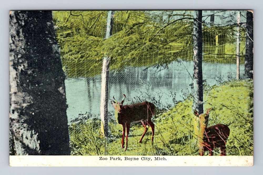Boyne City MI-Michigan, Zoo Park, Deer, Antique Vintage Souvenir Postcard